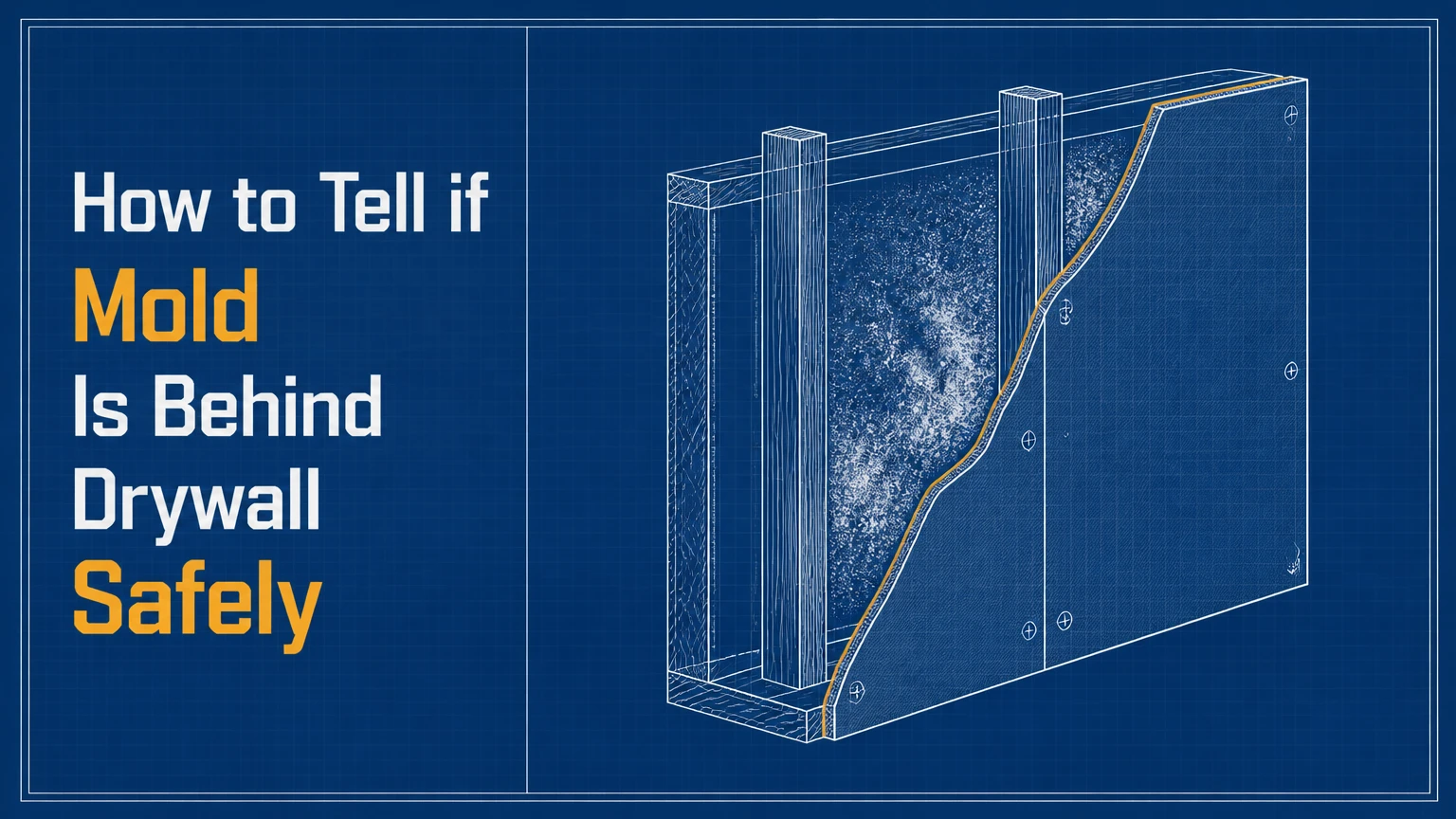 how to tell if mold is behind drywall