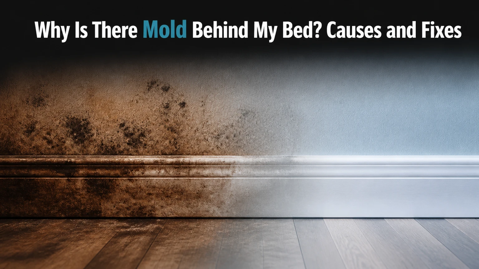 why is there mold behind my bed